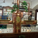Paulaner Wiesbaden - 
