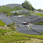 和束茶屋　山甚 - 