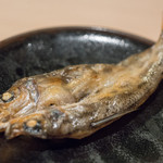 うを徳 - 2018.4 愛知メヒカリ一夜干し