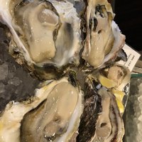 BELON 渋谷店 - 