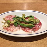 スガハラ - フィノッキオーナ + サラミトスカーノ + こごみ + たらの芽