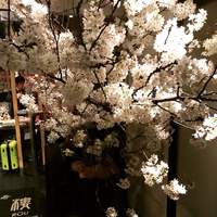 京鼎樓 HANARE店 - 