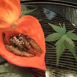 京料理 木乃婦 - 