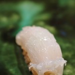 伊藤家のつぼ - squid　ヤリイカの握り