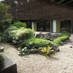 根津 釜竹 - 庭、春