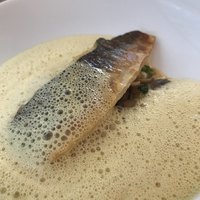 サラマンジェ ド ヨシノ - 