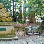 Yahiko Omiyage Tokoro Nishi Zawa Shouten - 火の玉石（重軽の石）