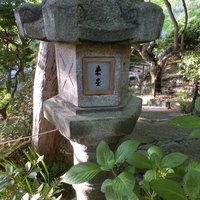 未在 - 