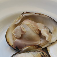 ヌキテパ - 30年4月　茨城鹿島産蛤炭火焼　アップ