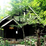 珈琲 森の時計 - 