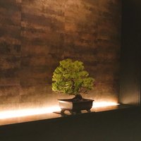中目黒 いぐち 本店 - 