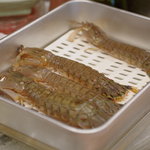 うを徳 - 蝦蛄（しやこ）