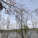 mana - マナ近くの佐鳴湖