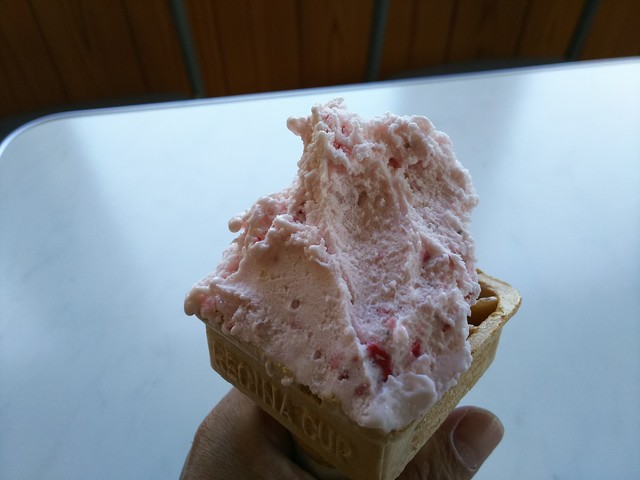 手作りジェラートの店 ポコアポコ 箸蔵 アイスクリーム 食べログ