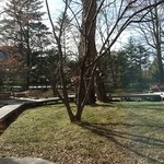 奥日光森のホテル - 