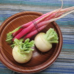 アプテカ フレーゴ - ナポリ大根&かぶ♡