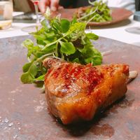 TACUBO - 
