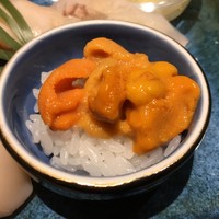 おたる政寿司 本店 - 201804  匠 - たくみ（海水うに）