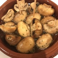 びいどろ 銀座店 -  びいどろ 銀座店 -