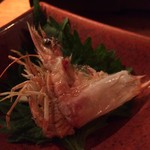 きんぎょ - 車エビの後造り