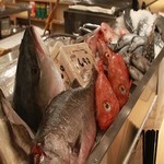 UOHARU - 旬の鮮魚※内容は毎日変わります