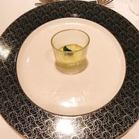 カントニーズ 燕 - 