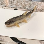 天麩羅 巽 - 稚鮎