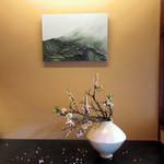 冬夏 - ギャラリーのワンシーン(2018.3月初旬)