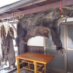 仙人小屋 - 毛皮