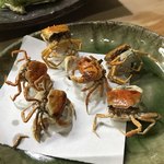 やなぎ鮨 - 