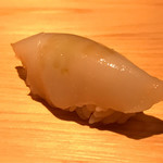 鮨 さかい - アオリイカ