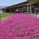 タリーズ コーヒー - 