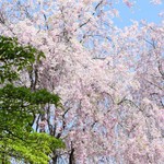 タリーズ コーヒー - 