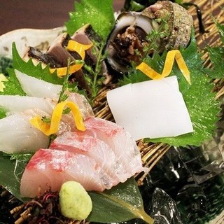 【九州直送の鮮魚料理】