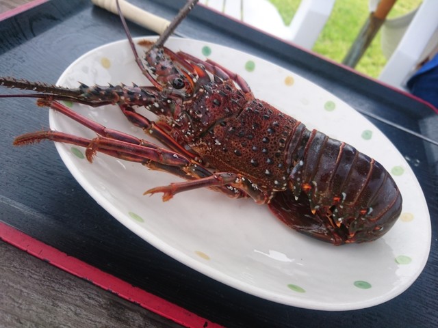 二見浦シーサイドバーベキュー場 二見浦 その他 食べログ