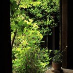 トロワ　トラス - ベランダ席よりお庭を臨む