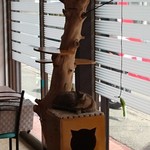 カフェ レッドローズ - 