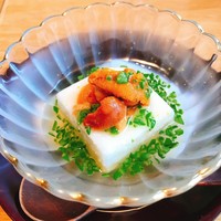 ざくろ 室町店 - ｵｸﾗとろろ豆腐生ｳﾆ添え