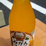 Michi - みかんコーラ（テント販売）