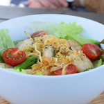 ドッグデプトプラスカフェ - 