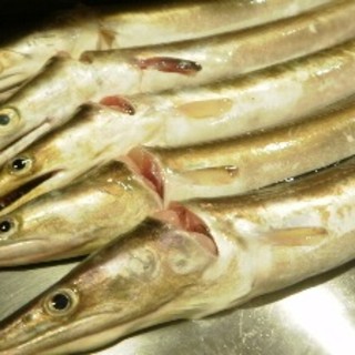 ぎをん 富ひさ_1