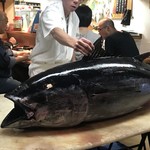 桂城 - 2018/05 マグロの解体ショー