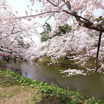 サロンドカフェアンジュ - 快晴で満開の美しい桜