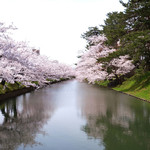 サロンドカフェアンジュ - 快晴で満開の美しい桜