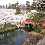 喫茶 北の郭 - 快晴で満開の美しい桜