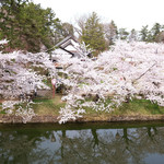 喫茶 北の郭 - 快晴で満開の美しい桜