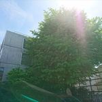 手打ち蕎麦 銀杏 - 愛宕神社からお店のビルを望む　2018.4