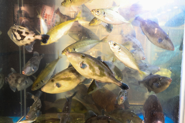 Mawari Sushi Senju Sushitsune Kitasenju Marui Ten photo 5