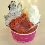 ミルキッシモ - 今回は「3カップアイス（ハスカップ・ネロビスケット・ミルキッシモレアチーズ）」560円を注文しました。