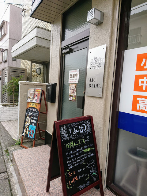 保護猫カフェ ねこかつ 大宮日進店 日進 その他 食べログ